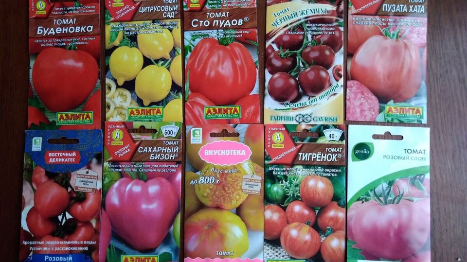 ����� ����� �������: ��� ������� � ������������ � ���� ������