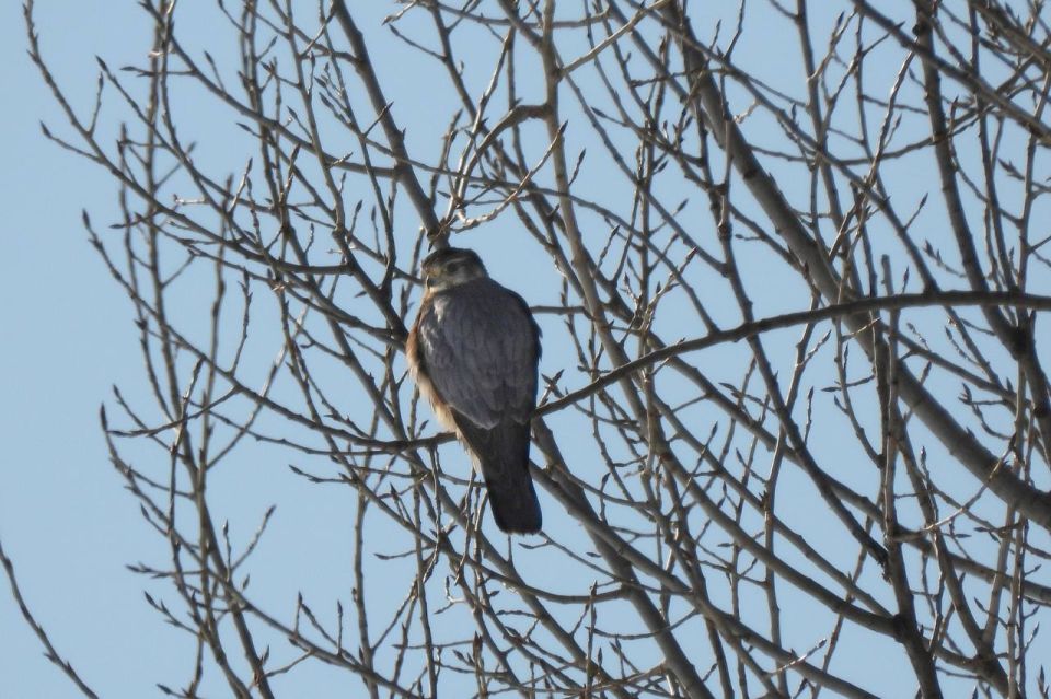 � ��������� ��������������� ��������� ����������� �������� ������� ������� ������� ��������