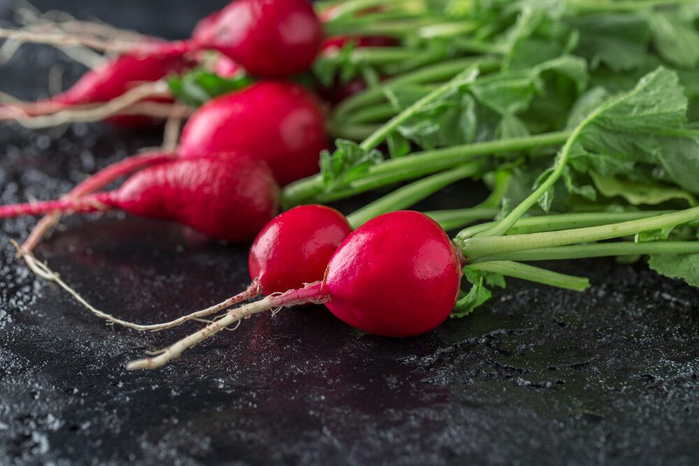 Как кипяток помогает добиться отличных результатов в выращивании редиса