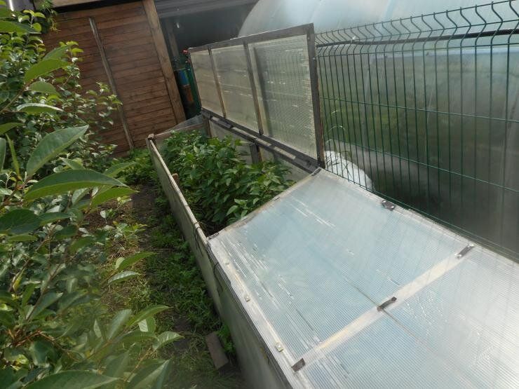 ���������� ������� ��� ������: ������� ��������� ��������������