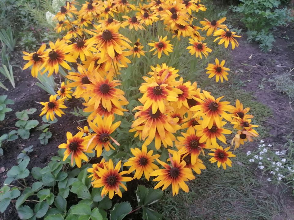 �������� � ����� ����: ������� ����� � ������������ ������