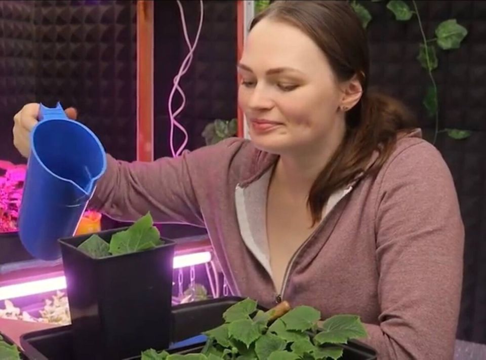 ����� � ��� ����� ������ �������: ������ ������