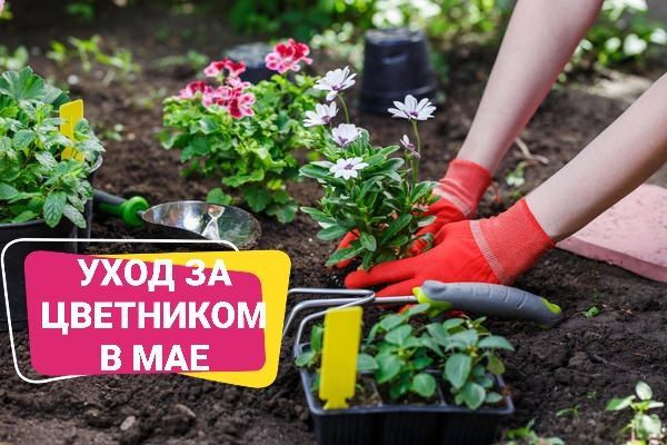 ������� ������: ��� ��������� �� ������� � ����