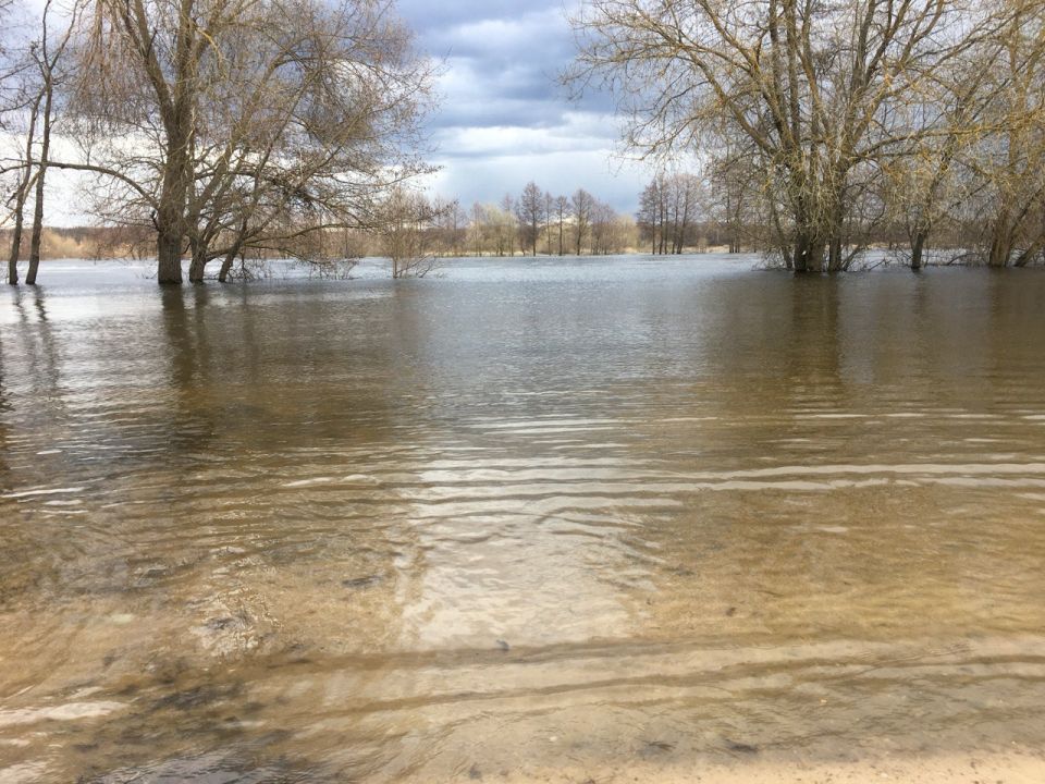 � ������� ��������� ������ �� ������������ ������ ��� ���������� � �����������