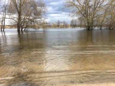 � ������� ��������� ������ �� ������������ ������ ��� ���������� � �����������