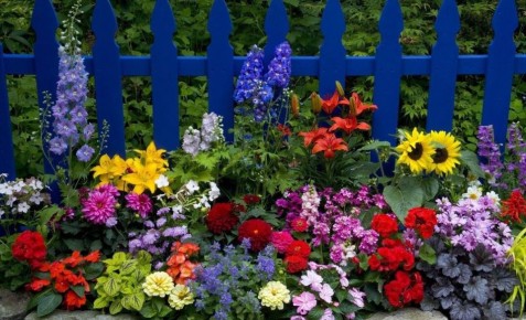 �������� ��� ������� ���: �������� ����������� ��������