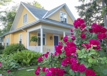 ����������� ������ ������� ����� ����� �� ������ �����������