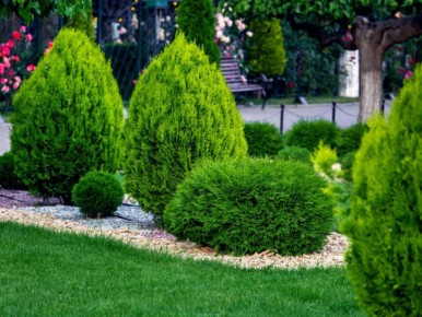 ��� ����������� ��� ������� � ������� ������: ������ � �������