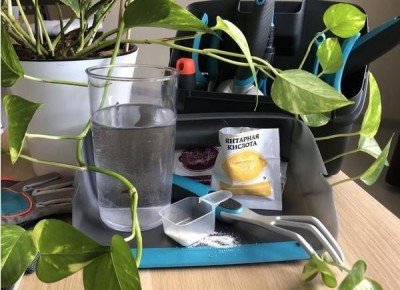 �������� �������: ������� ���������� ��������� ��� ����� ��������