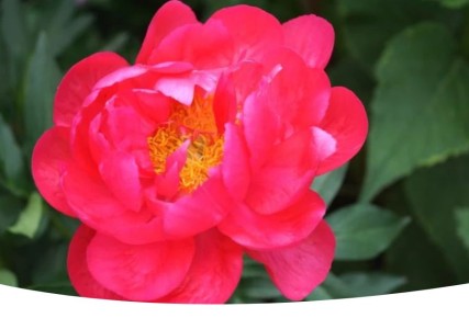 ���� �� �������: ������� ������� �������� � ����� �� �����