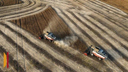 Воронежская область заняла 2 место в России по инновациям в АПК