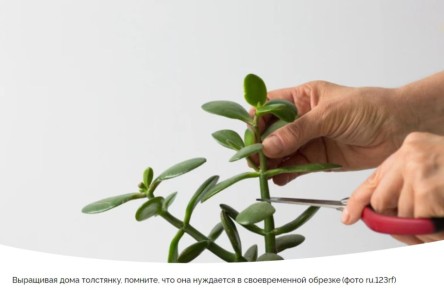 ��� ��������� �������� ���������