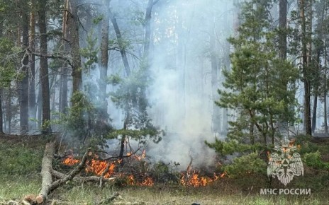 ����� ������ �������������� ������ �� ���������� ����������� ������� ����������� ���������� 1 ������ 2026 ����