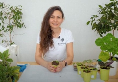 ��� ���������� � ����������������� ������������� ������� �������