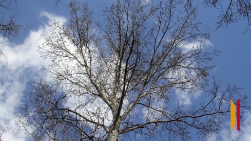 � ����������� ������� 9 ����� ��������� �� +7 ��������