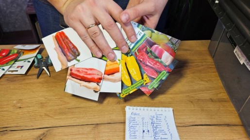 ��� ��������� ��������� ������ ������: ���� �������� �������� �������