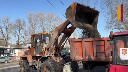 «Обидно читать комментарии в соцсетях»: история грузчика Александры Коровиной, которая 16 лет убирает улицы Воронежа