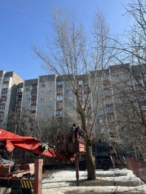 ����������� ������� ���������� �� ���������� �������� �������� �� ������ ���������� ������