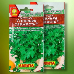 Петрушка «Утренняя свежесть»: идеальный сорт для вашего огорода