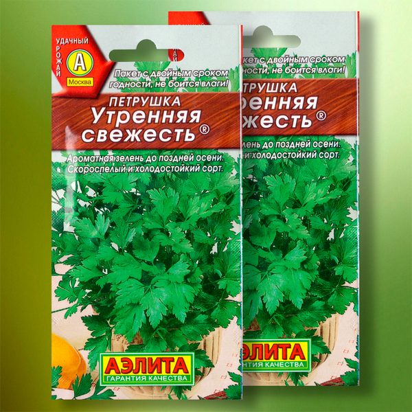 Петрушка «Утренняя свежесть»: идеальный сорт для вашего огорода