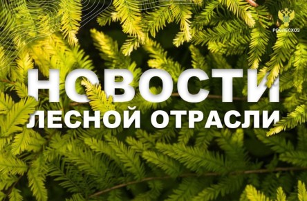 ТАСС: Акцию "Сад памяти" посвятят героям Великой Отечественной войны и СВО