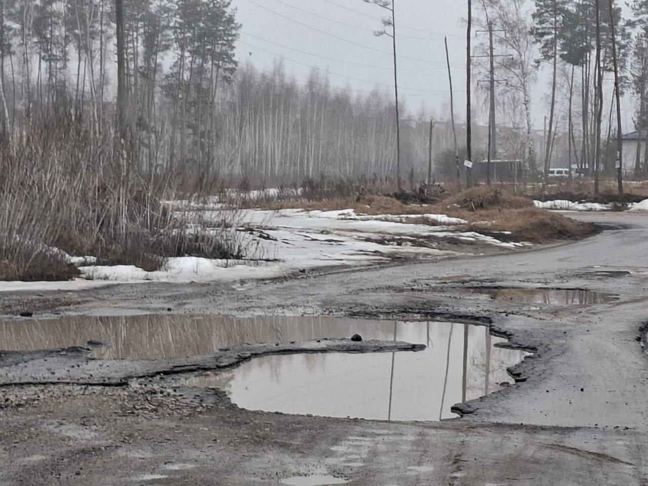 Весна в Воронежской области подкидывает испытания не только пешеходам, но и автолюбителям