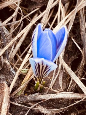 ������ �������� ������ � ������������ ���� ���������