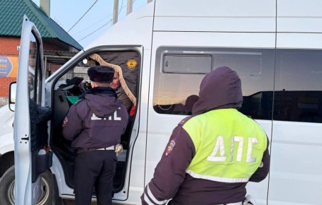 Воронежская Госавтоинспекция подвела итоги профилактического мероприятия