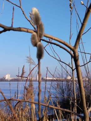 Дышит свежестью: читательница «Блокнот Воронеж» показала настоящую весну на водохранилище