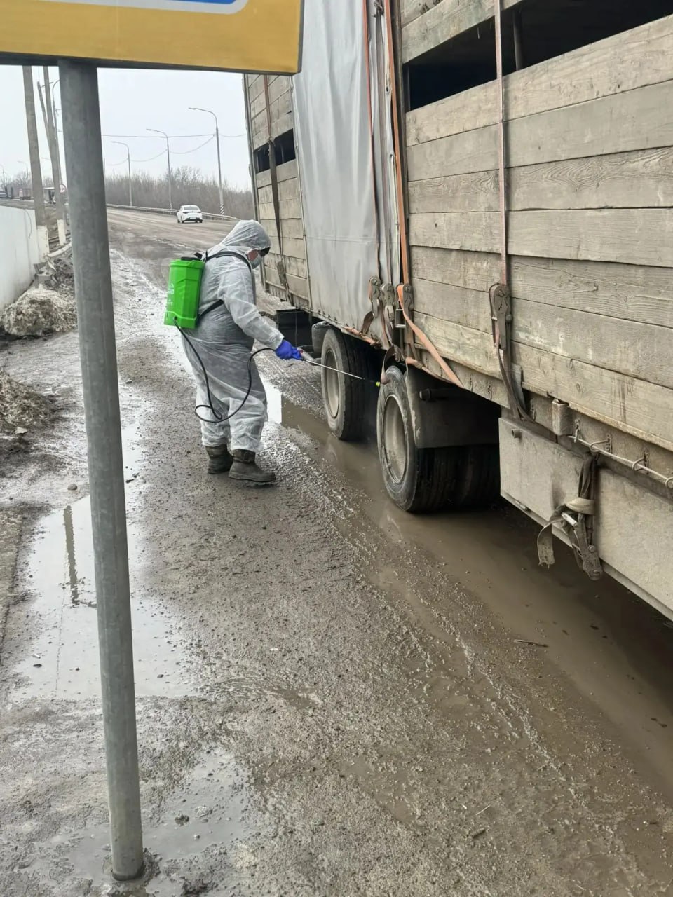 В Воронежской области пресекли попытку перевезти животных без документов В Воронежской области пресекли попытку перевезти животных без документов