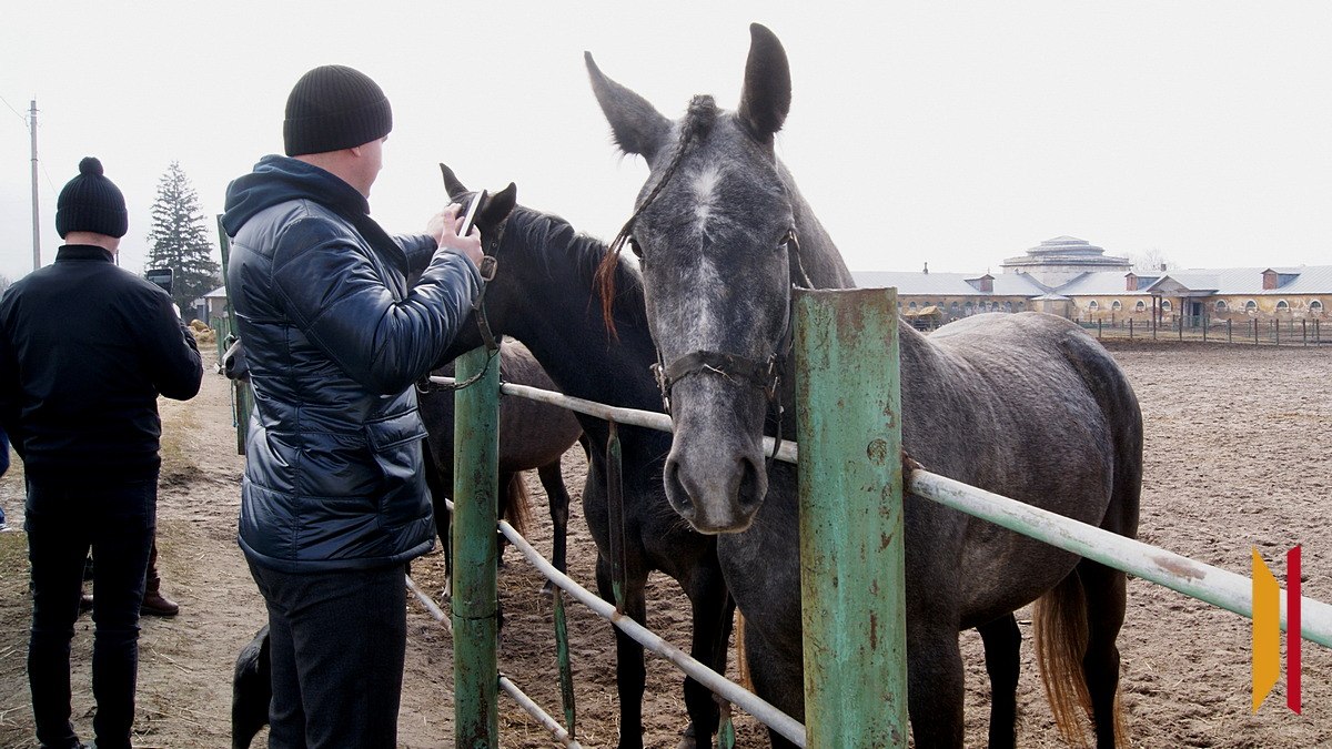Участники кадровой программы «Герои земли Воронежской» посетили Хреновской конезавод Участники кадровой программы «Герои земли Воронежской» посетили Хреновской конезавод