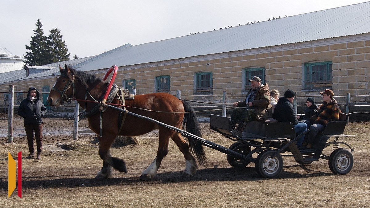 Участники кадровой программы «Герои земли Воронежской» посетили Хреновской конезавод Участники кадровой программы «Герои земли Воронежской» посетили Хреновской конезавод