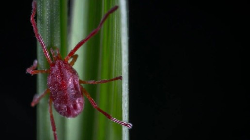 � ����������� ������� �������� ������� ��������� �� ������ � �������