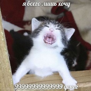 ��� � �������� �������� ����� ������� ��������?