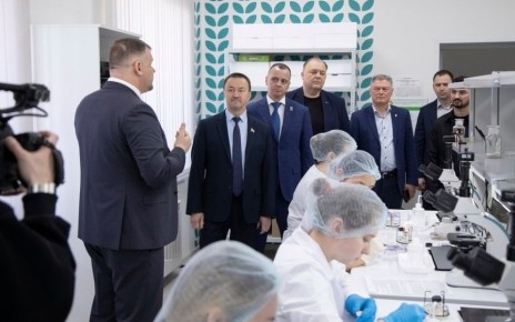 ��������� ������������� �� �������� ����������� �������� �������� ���������� �����