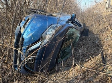 � ������������� ������ ���������� ���������������� ������������� �������������� ������������ ������������ �������