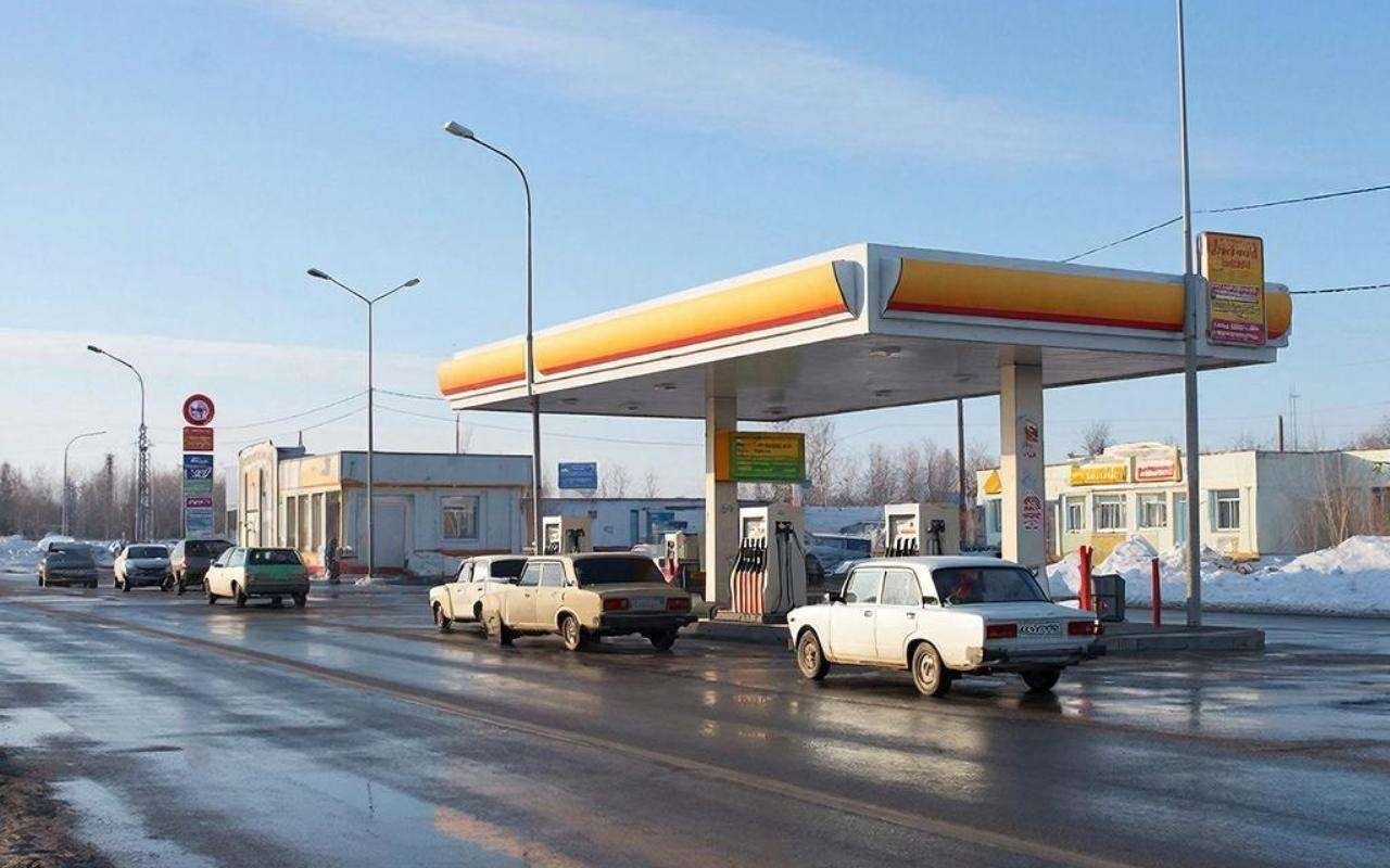 В Воронежской области в феврале, как и в предыдущем месяце, подорожали все виды моторного топлива