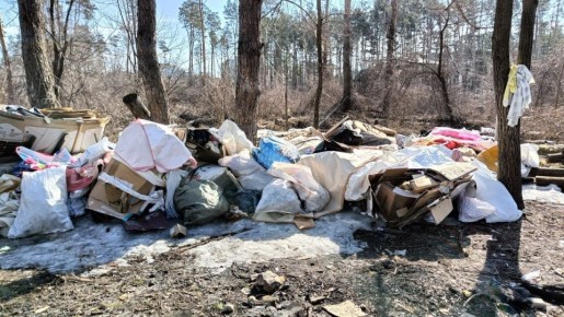 Свалку мусора в Северном лесу уберут в ближайшее время