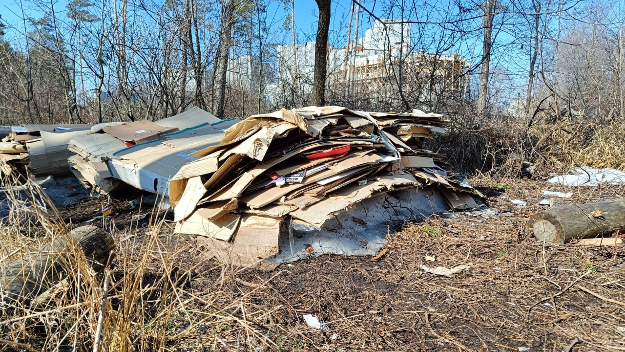 Свалку мусора в Северном лесу уберут в ближайшее время Свалку мусора в Северном лесу уберут в ближайшее время