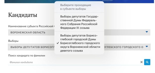 Еще у желающих стать кандидатами от партии власти есть возможность податься на праймериз по выборам в гордуму Борисоглебска