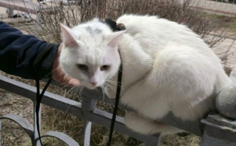 ���������� � ������ ������ ����� � ����������� �������