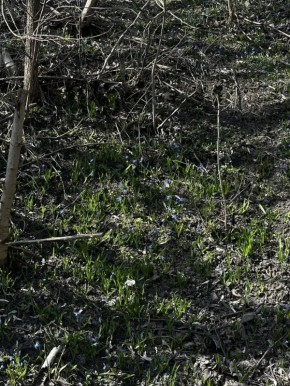 Ну вы посмотрите, какой красотой делятся читатели