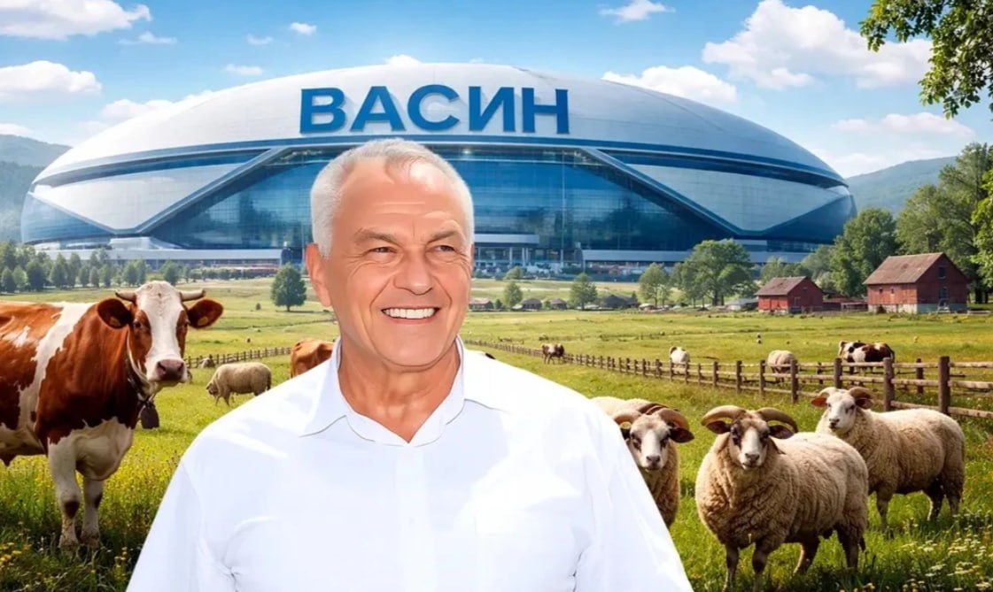 Неожиданное строительство Ледового дворца за 700 млн руб планируется начать в пгт Анна