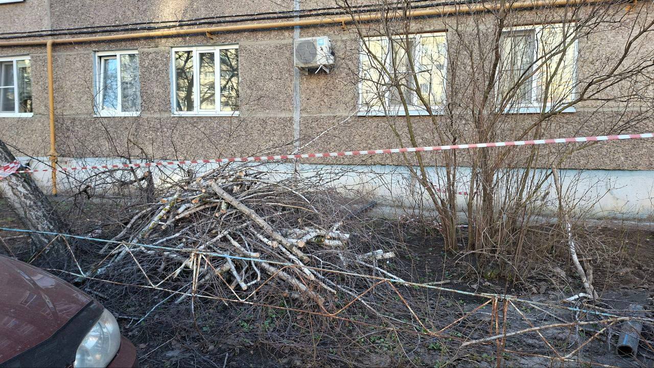 Здравствуйте, уважаемая редакция "Блокнот"! Просим придать огласке ПОЖАРООПАСНУЮ СИТУАЦИЮ, которая находится возле дома 21 по ул. Кривошеина. УК "Забота" осенью 2025 года произвела опил деревьев, но до сих пор, прошло уже... Здравствуйте, уважаемая редакция "Блокнот"! Просим придать огласке ПОЖАРООПАСНУЮ СИТУАЦИЮ, которая находится возле дома 21 по ул. Кривошеина. УК "Забота" осенью 2025 года произвела опил деревьев, но до сих пор, прошло уже...