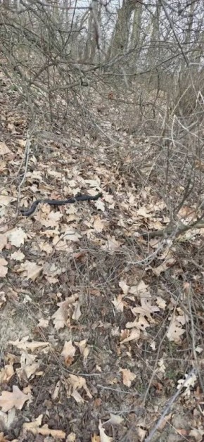 � ���� ���������� ������: ������� �������� ��������� � ����� ����������������