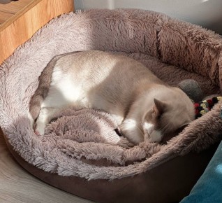 ���� ����� �������� � ��������!