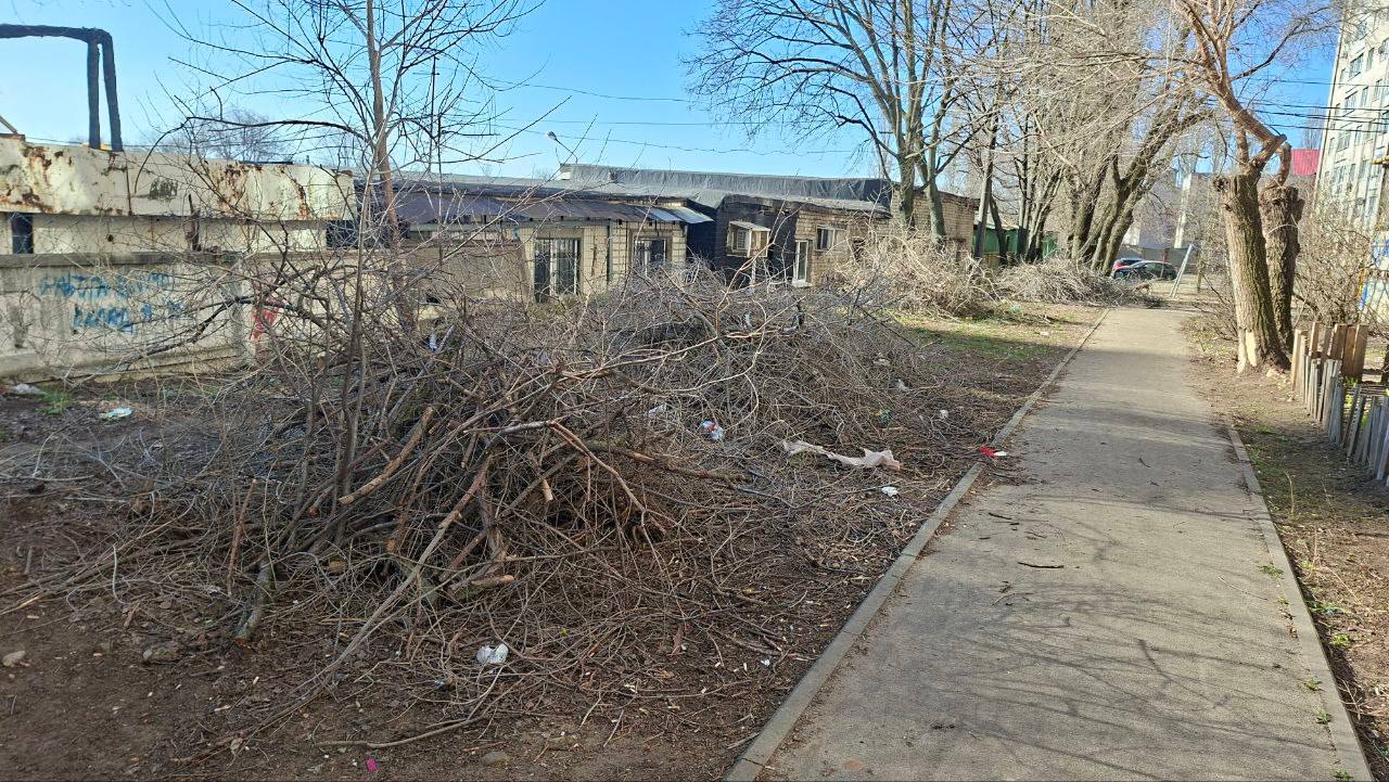 Здравствуйте, уважаемая редакция "Блокнот"! Просим придать огласке ПОЖАРООПАСНУЮ СИТУАЦИЮ, которая находится возле дома 21 по ул. Кривошеина. УК "Забота" осенью 2025 года произвела опил деревьев, но до сих пор, прошло уже... Здравствуйте, уважаемая редакция "Блокнот"! Просим придать огласке ПОЖАРООПАСНУЮ СИТУАЦИЮ, которая находится возле дома 21 по ул. Кривошеина. УК "Забота" осенью 2025 года произвела опил деревьев, но до сих пор, прошло уже...
