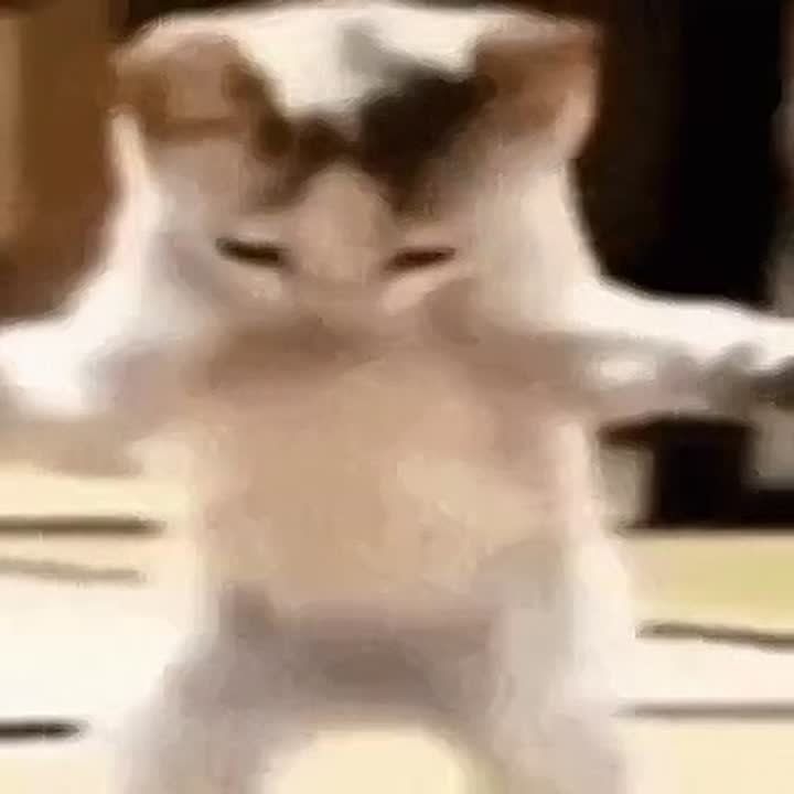 ������ ����!. ����� ����� �� ����?