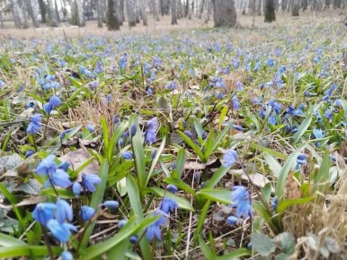 ������������� ������... ��� � ������ ��������! ��� ��������, � �� �����������. ����� �����, �� � ���� ���������