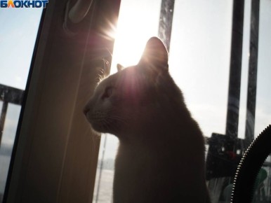 Погода 30 марта:. Температура воздуха: днем +16, а вечером +14